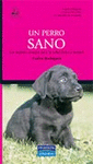 ANIMALES DE COMPAA: UN PERRO SANO