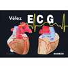 ECG. PAUTAS DE ELECTROCARDIOGRAFA